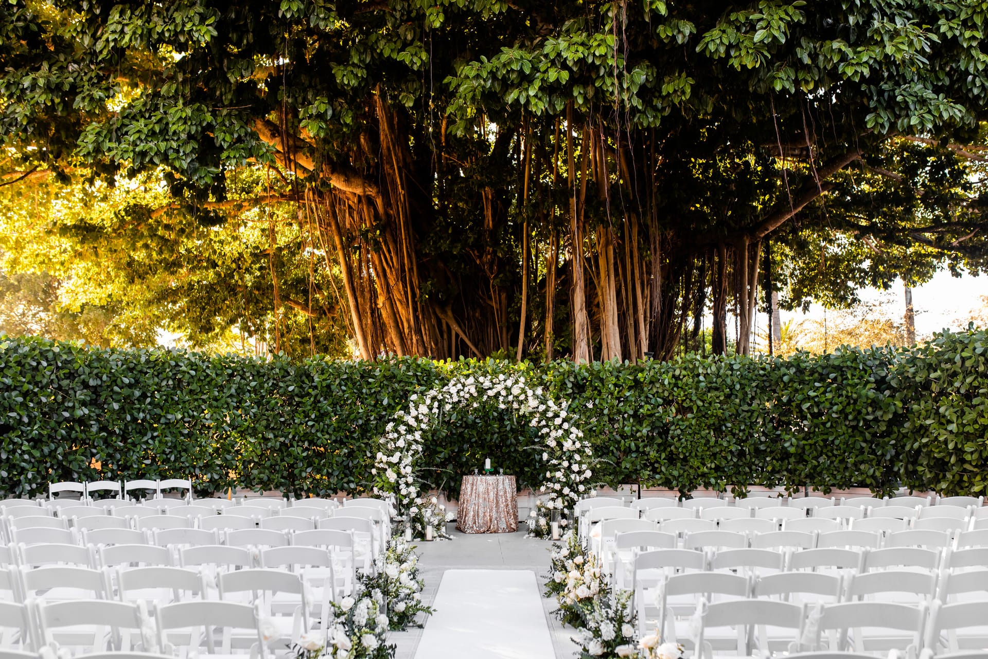 Bella & Danilo photo 10