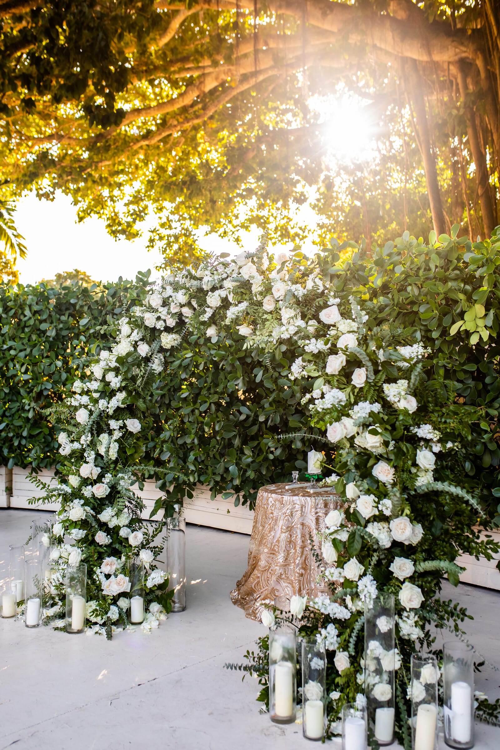 Bella & Danilo photo 11