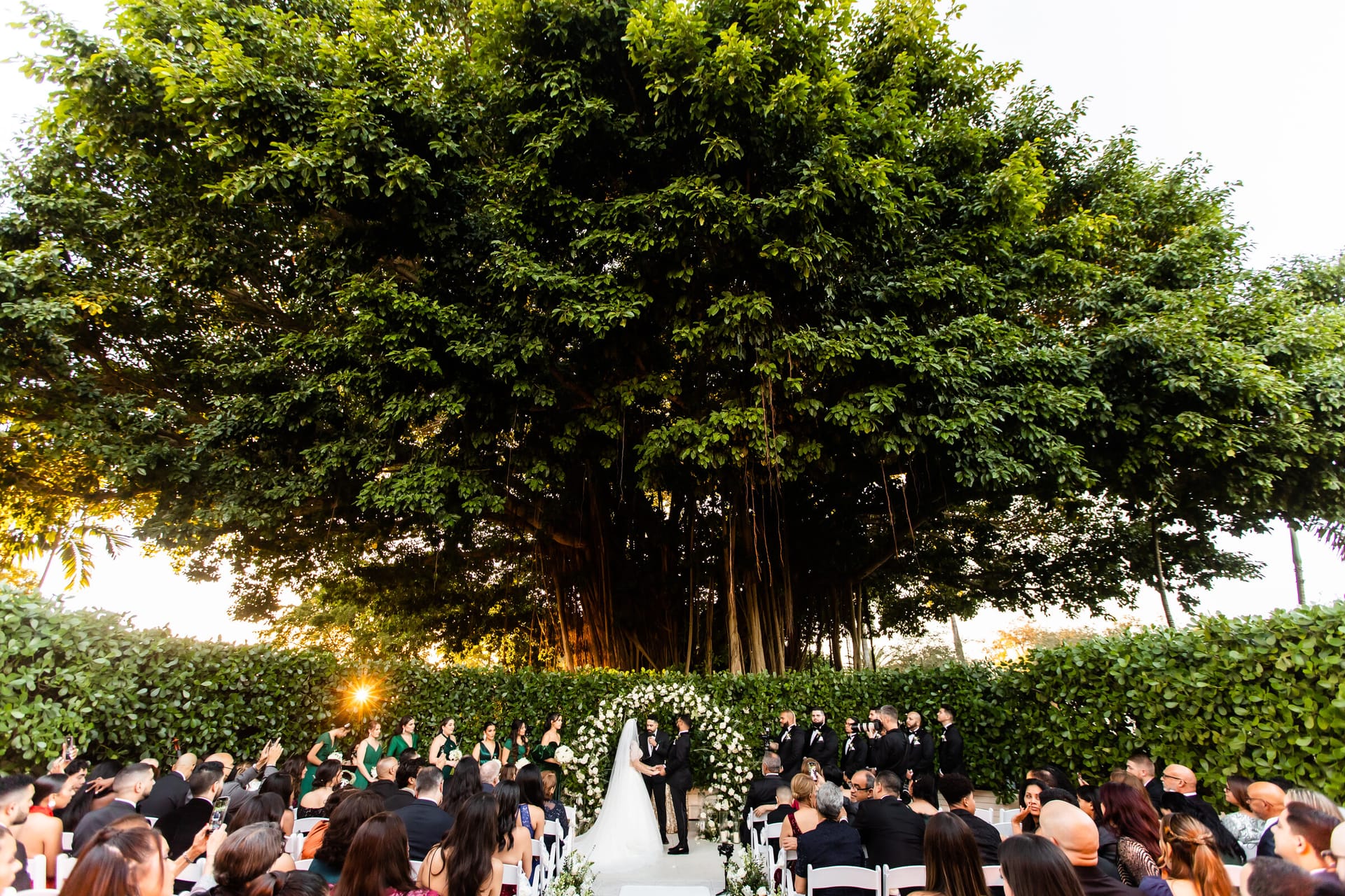 Bella & Danilo photo 13