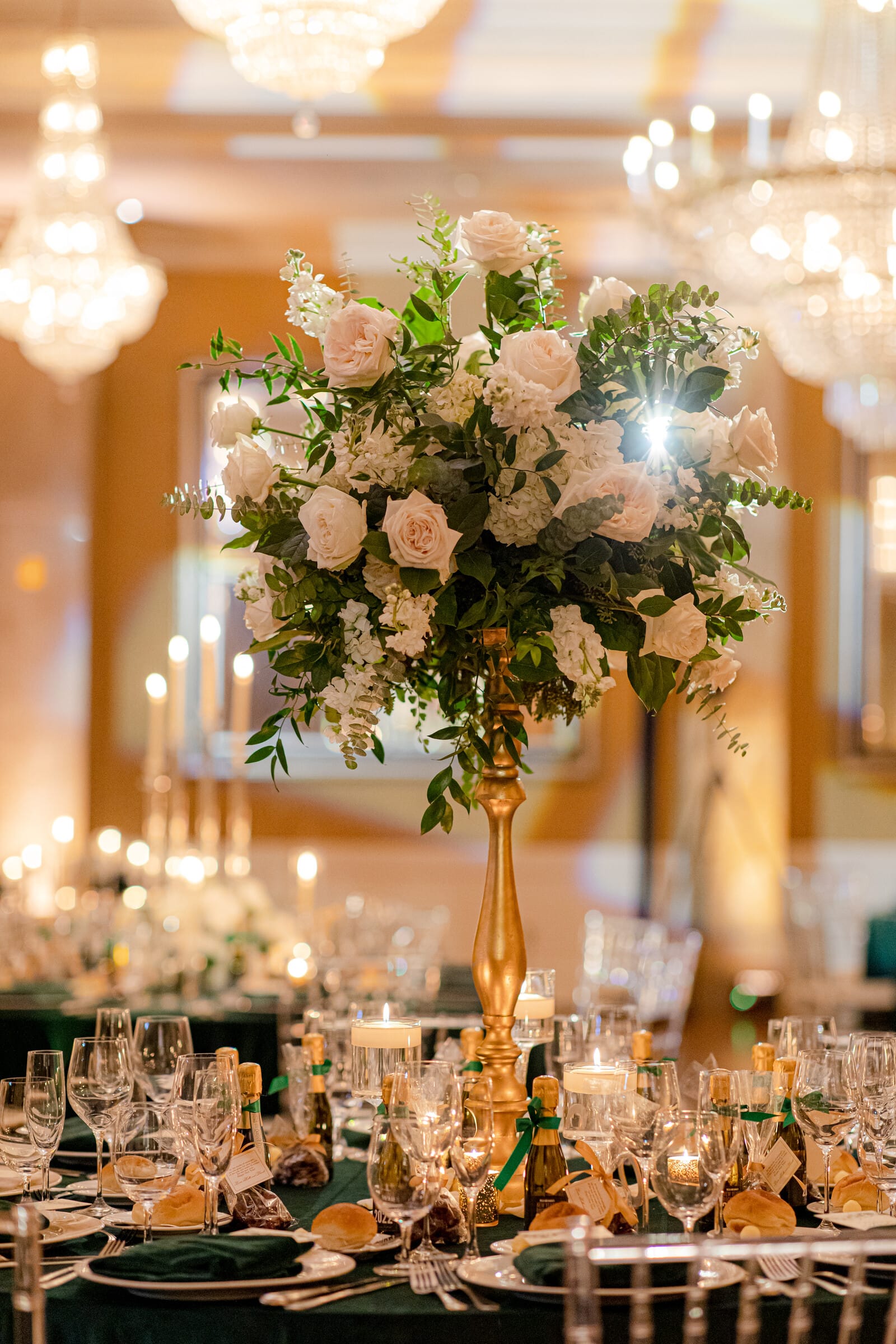 Bella & Danilo photo 15