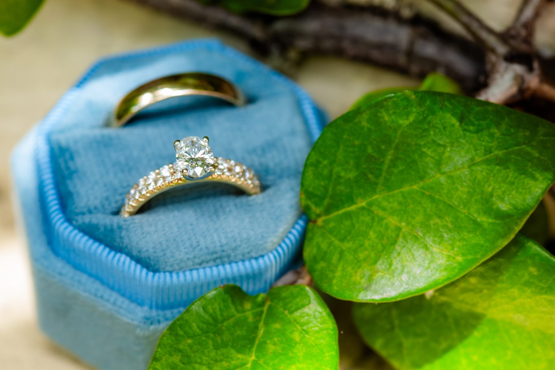 Nani & Gabriel photo 3